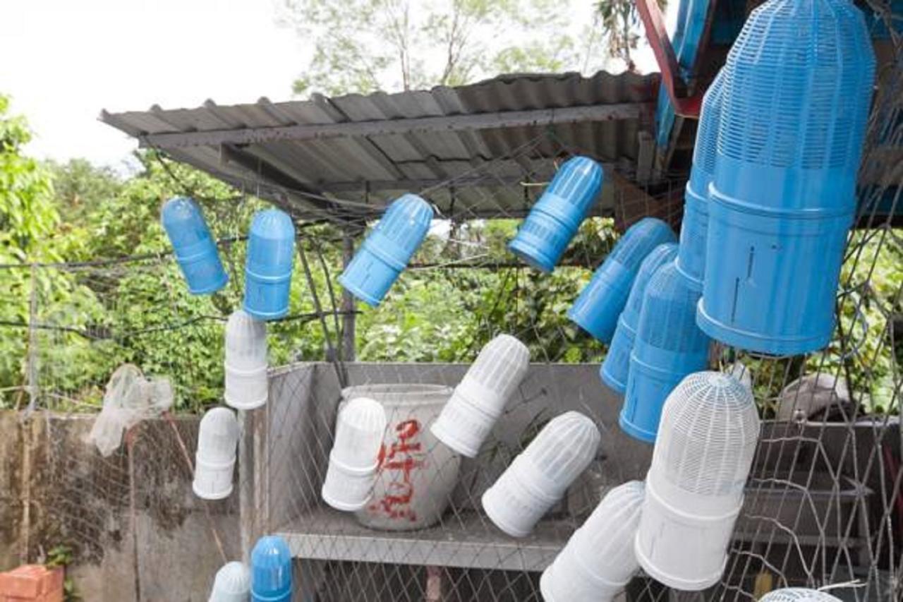 Da Nan Ao Homestay Tô Áo Ngoại thất bức ảnh